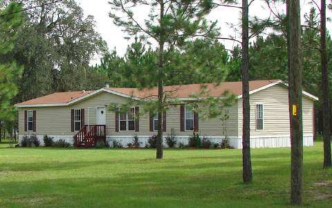 Home in the Pines